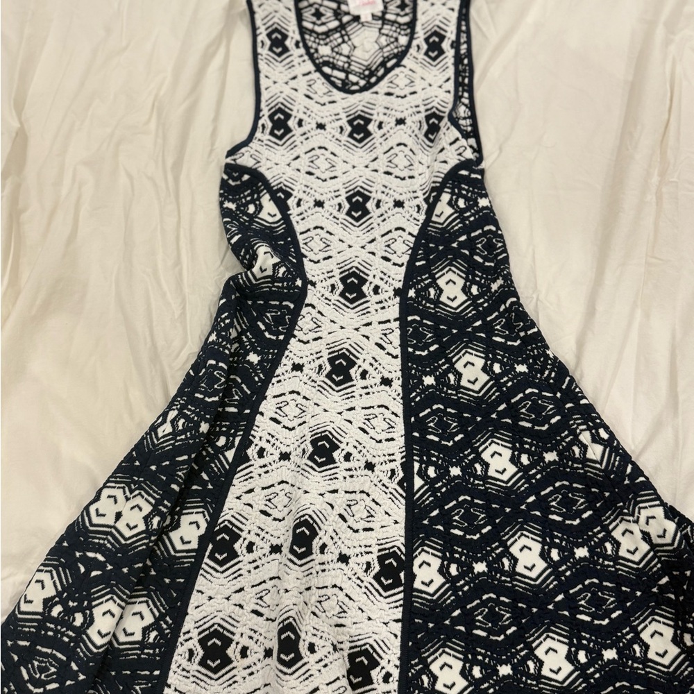 Parker Navy and White Fit and Flare Dress